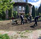Деревня Глухово - устройство рулонного газона под ключ